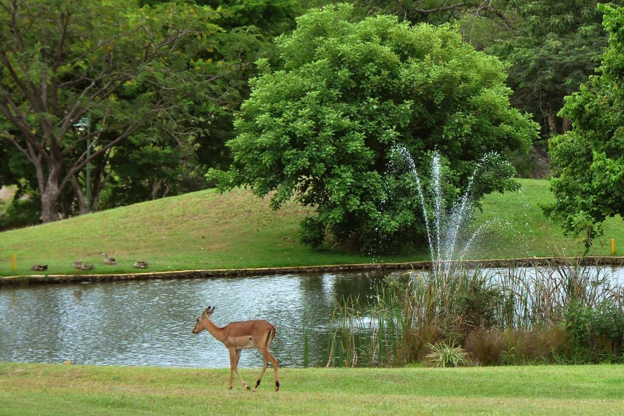 Kruger Park Lodge Unit No. 612 雾观 外观 照片